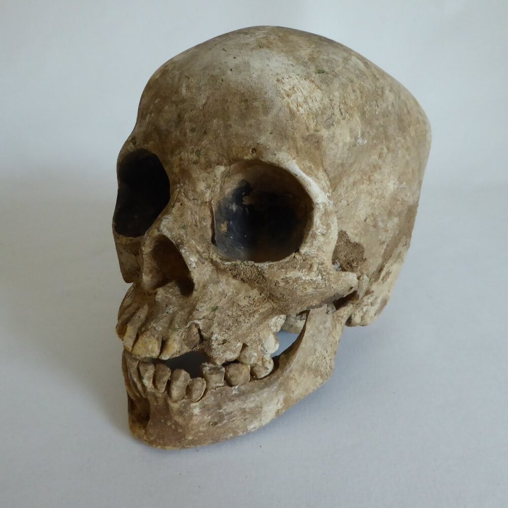 2006 DISNEY PIRATES OF THE CARIBBEAN OFFICIAL MOVIE FILM PROP PELEGOSTO SKULL - Picture 13 of 15